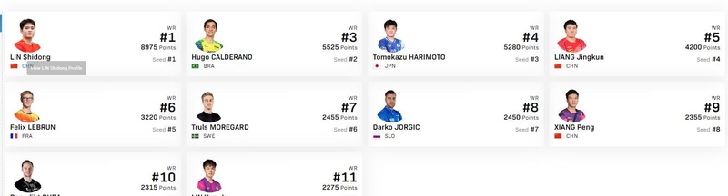 日本队逆转瑞典队,王皓关键制胜 日本队逆转瑞典队,王皓关键制胜