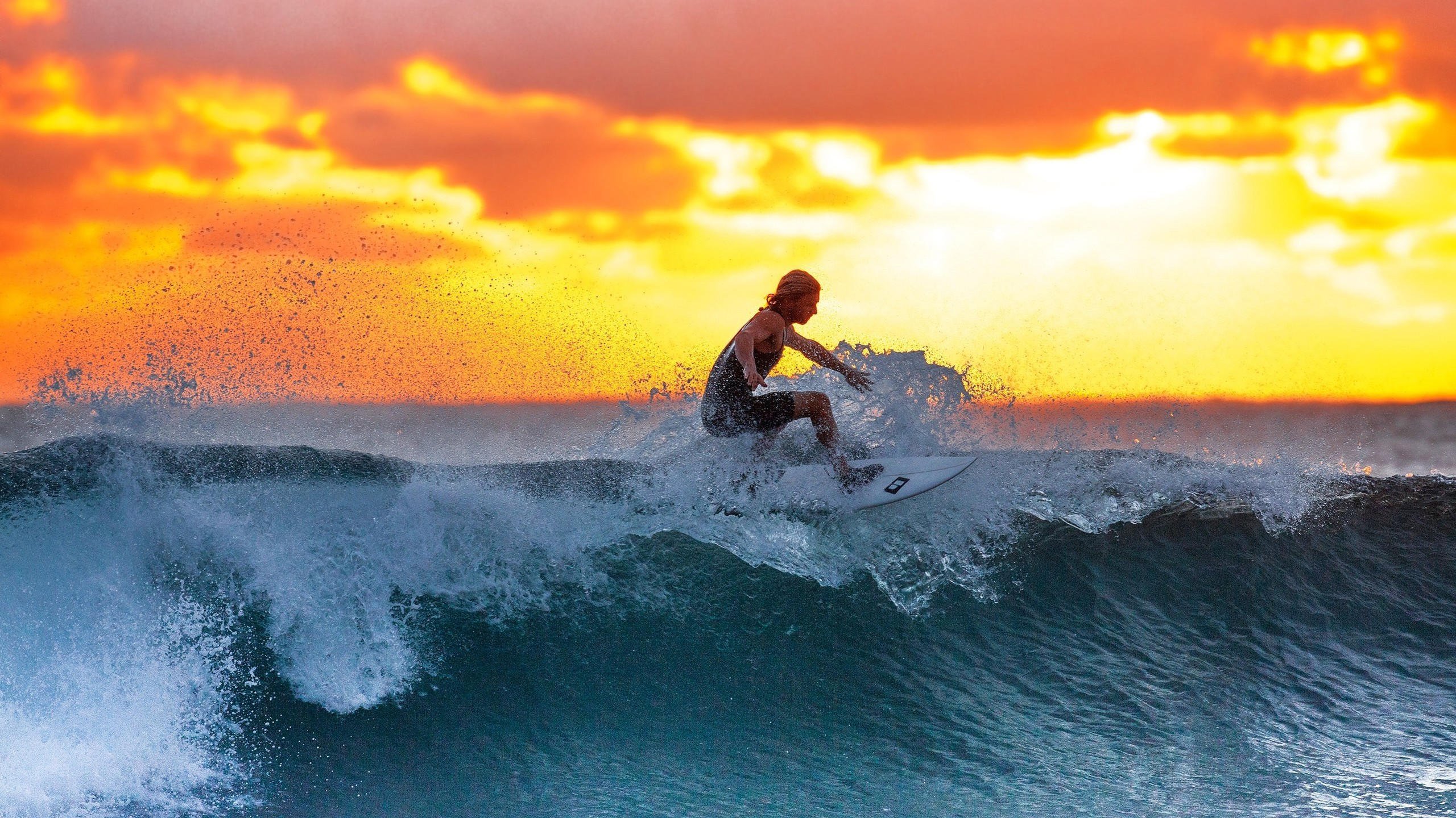 铁血防线与闪电奇袭,奥地利横扫卡塔尔,努涅斯率队突围2026世界杯关键战